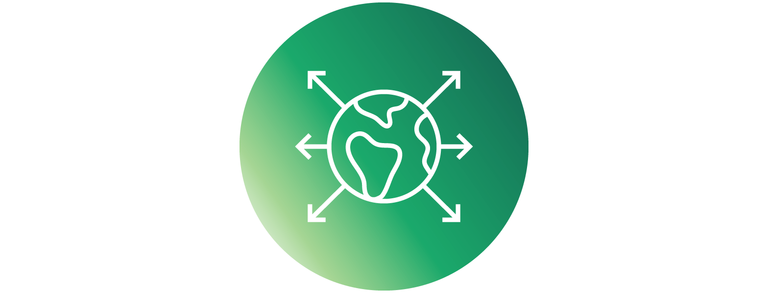 Highly Diversified Icon EKS (1)